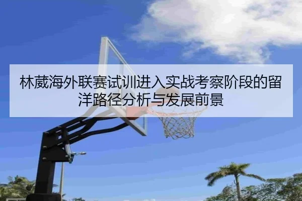 林葳海外联赛试训进入实战考察阶段的留洋路径分析与发展前景
